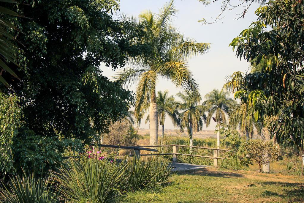 Hacienda San Gabriel De Las Palmas Amacuzac Exterior photo