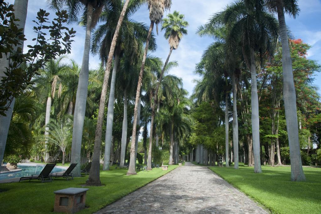 Hacienda San Gabriel De Las Palmas Amacuzac Exterior photo